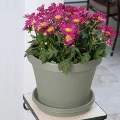 Bloem Terra 6 in. Pebble Stone Plastic Planter -Litton Lane Sales Store pebble stone bloem plant pots tr0683 1d 1000