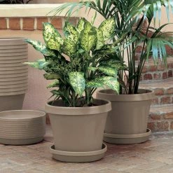 Bloem Terra 6 in. Pebble Stone Plastic Planter -Litton Lane Sales Store pebble stone bloem plant pots tr0683 40 1000