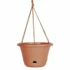 Bloem Lucca 13 in. Terra Cotta Plastic Self-Watering Hanging Basket Planter