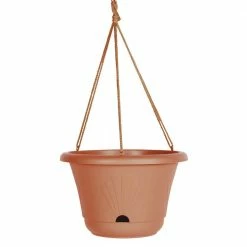 Bloem Lucca 13 in. Terra Cotta Plastic Self-Watering Hanging Basket Planter