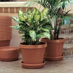 Bloem Terra 4 in. Terra Cotta Plastic Planter 11 Bloem Terra 4 in. Terra Cotta Plastic Planter -Litton Lane Sales Store terra cotta bloem plant pots 20 50004c 40 1000