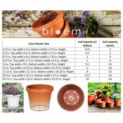 Bloem Terra 4 in. Terra Cotta Plastic Planter 14 Bloem Terra 4 in. Terra Cotta Plastic Planter -Litton Lane Sales Store terra cotta bloem plant pots 20 50004c 66 1000