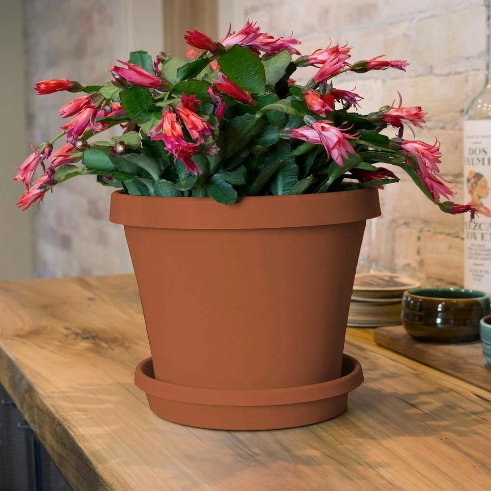 Bloem Terra 4 in. Terra Cotta Plastic Planter 4 Bloem Terra 4 in. Terra Cotta Plastic Planter - Image 2