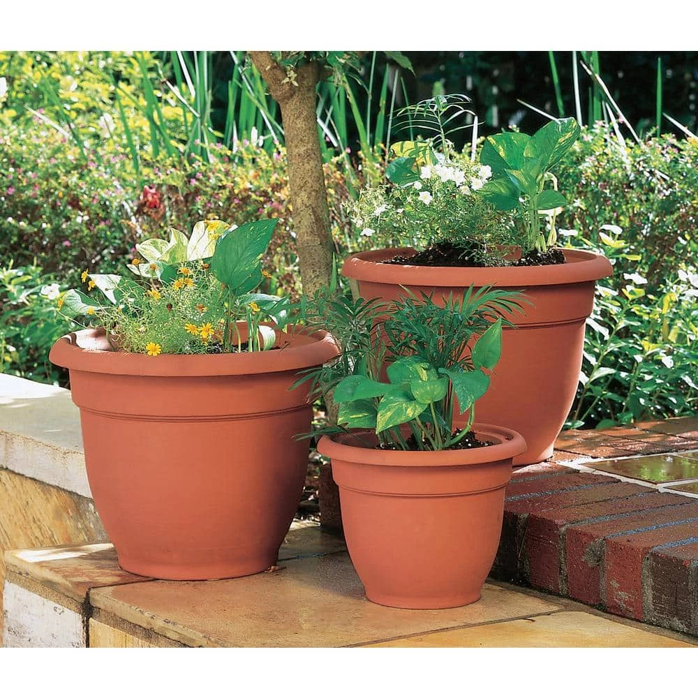 Bloem Ariana 17.75 in. Terra Cotta Plastic Self-Watering Planter 5 Bloem Ariana 17.75 in. Terra Cotta Plastic Self-Watering Planter - Image 3