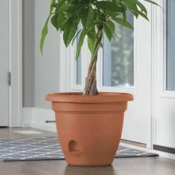 Bloem Lucca 8.75 in. Terra Cotta Plastic Self-Watering Planter with Saucer -Litton Lane Sales Store terra cotta bloem plant pots lp0846 e1 1000
