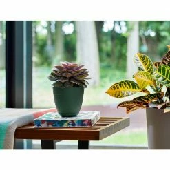 Bloem Dayton 16 in. Plastic Planter with Saucer Tray, Green -Litton Lane Sales Store turtle green bloem plant pots day1655 31 1000