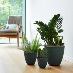 Bloem Dayton 16 in. Plastic Planter with Saucer Tray, Green -Litton Lane Sales Store turtle green bloem plant pots day1655 c3 1000