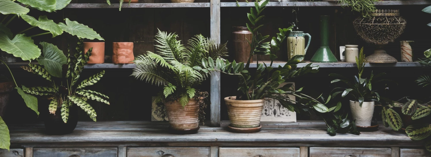 Litton Lane Sales Store -Litton Lane Sales Store 46565